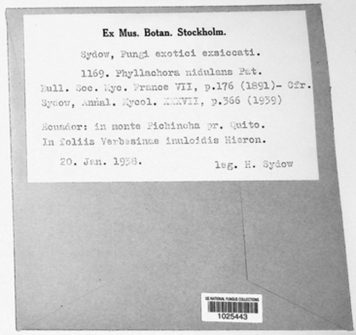 Phyllachora nidulans image